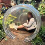 ヒメ日記 2025/11/21 14:56 投稿 菜乃/なの　centu STYLISH BACH