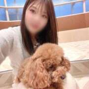 ヒメ日記 2025/11/26 09:42 投稿 菜乃/なの　centu STYLISH BACH