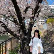 ヒメ日記 2026/03/24 13:03 投稿 菜乃/なの　centu STYLISH BACH