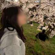 ヒメ日記 2026/04/01 23:22 投稿 菜乃/なの　centu STYLISH BACH