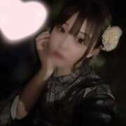 ヒメ日記 2026/07/26 09:57 投稿 菜乃/なの　centu STYLISH BACH