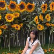 ヒメ日記 2026/08/17 10:27 投稿 菜乃/なの　centu STYLISH BACH