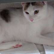 むめいちゃん ♪どすけべえっち♪ シャングリラ 周南 ～桃源郷～〔shangri-laグループ〕