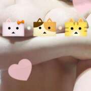 ヒメ日記 2025/07/12 14:27 投稿 つばき シャングリラ 周南 ～桃源郷～〔shangri-laグループ〕