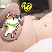 ヒメ日記 2026/03/15 11:26 投稿 つばき シャングリラ 周南 ～桃源郷～〔shangri-laグループ〕