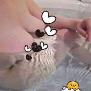 ヒメ日記 2026/03/22 11:34 投稿 つばき シャングリラ 周南 ～桃源郷～〔shangri-laグループ〕