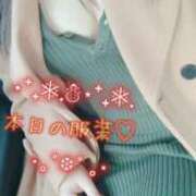 ヒメ日記 2025/12/21 11:56 投稿 じゅん シャングリラ 周南 ～桃源郷～〔shangri-laグループ〕