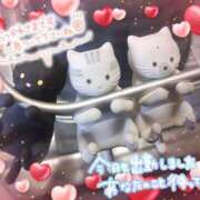 ヒメ日記 2026/03/21 12:16 投稿 じゅん シャングリラ 周南 ～桃源郷～〔shangri-laグループ〕