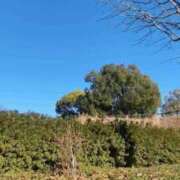 ヒメ日記 2024/12/31 13:42 投稿 れみ Charme（シャルム）