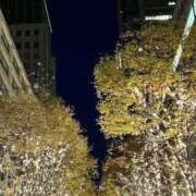 ヒメ日記 2024/12/31 19:41 投稿 れみ Charme（シャルム）