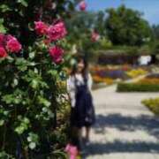 ヒメ日記 2024/12/21 10:21 投稿 愛紗(あいさ) 渋谷蘭の会