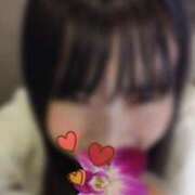 ヒメ日記 2025/02/10 09:02 投稿 愛紗(あいさ) 渋谷蘭の会