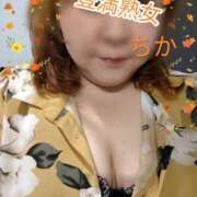 ヒメ日記 2024/12/17 10:30 投稿 ちか 豊満熟女