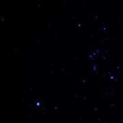 あみ また来年 DIVAセカンドシーズン日立店