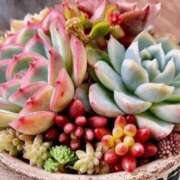 あみ 今年初出勤 DIVAセカンドシーズン