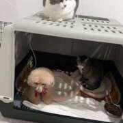 ヒメ日記 2025/02/06 22:37 投稿 かおるこ スピード日本橋店