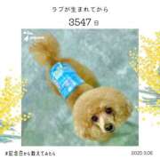 ヒメ日記 2025/03/07 16:17 投稿 かおるこ スピード日本橋店