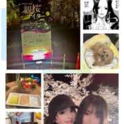 ヒメ日記 2025/04/09 06:17 投稿 かおるこ スピード日本橋店