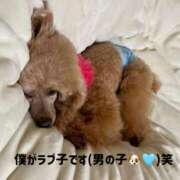 ヒメ日記 2025/05/04 16:27 投稿 かおるこ スピード日本橋店