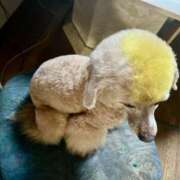 ヒメ日記 2025/05/14 03:27 投稿 かおるこ スピード日本橋店