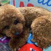 ヒメ日記 2025/05/15 14:57 投稿 かおるこ スピード日本橋店