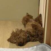 ヒメ日記 2025/05/16 18:07 投稿 かおるこ スピード日本橋店