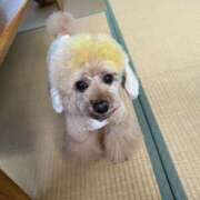 ヒメ日記 2025/08/04 18:57 投稿 かおるこ スピード日本橋店