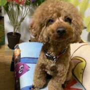 ヒメ日記 2026/02/10 09:47 投稿 かおるこ スピード日本橋店