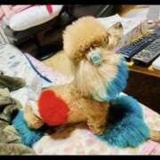 ヒメ日記 2026/03/21 02:37 投稿 かおるこ スピード日本橋店