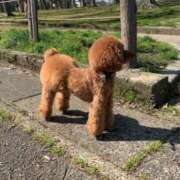 ヒメ日記 2026/03/25 02:27 投稿 かおるこ スピード日本橋店