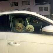 ヒメ日記 2026/03/28 15:37 投稿 かおるこ スピード日本橋店