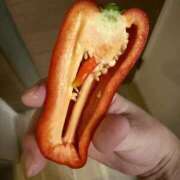 ヒメ日記 2026/03/29 02:27 投稿 かおるこ スピード日本橋店