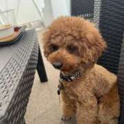 ヒメ日記 2026/03/31 02:47 投稿 かおるこ スピード日本橋店