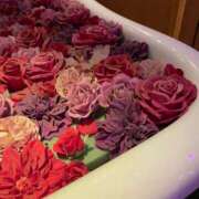 ヒメ日記 2024/12/10 13:56 投稿 りつ 桃色☆めぃぷるシロップ