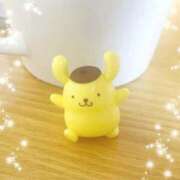 ヒメ日記 2025/01/06 14:19 投稿 りつ 子猫カフェ 小倉店