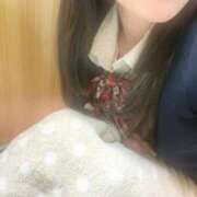 ヒメ日記 2025/01/09 13:31 投稿 りつ 子猫カフェ 小倉店