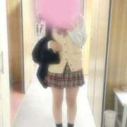 ヒメ日記 2025/02/10 10:40 投稿 りつ 子猫カフェ 小倉店