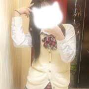 ヒメ日記 2025/02/27 15:04 投稿 りつ 子猫カフェ 小倉店