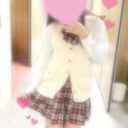 ヒメ日記 2025/05/26 16:05 投稿 りつ 子猫カフェ 小倉店