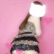 ヒメ日記 2025/06/10 13:01 投稿 りつ 子猫カフェ 小倉店