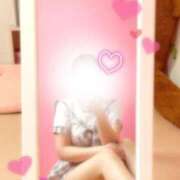 ヒメ日記 2025/07/16 10:35 投稿 りつ 子猫カフェ 小倉店