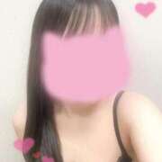 ヒメ日記 2025/07/29 11:00 投稿 りつ 子猫カフェ 小倉店