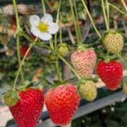 ヒメ日記 2025/05/09 10:15 投稿 大崎 人妻楼 熊谷店