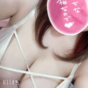 ヒメ日記 2025/07/22 09:06 投稿 みらら 鎌倉御殿 新館