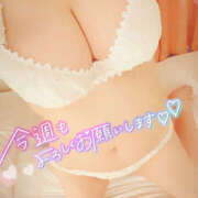 ヒメ日記 2025/07/27 07:03 投稿 みらら 鎌倉御殿 新館