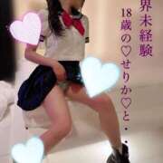 ヒメ日記 2024/12/20 08:36 投稿 せりか EXE【都城本店】