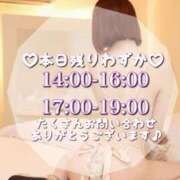 ヒメ日記 2025/08/29 09:23 投稿 せりか EXE【都城本店】