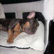 ヒメ日記 2025/10/27 23:56 投稿 せりか EXE【都城本店】