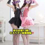 ヒメ日記 2025/11/03 07:46 投稿 せりか EXE【都城本店】