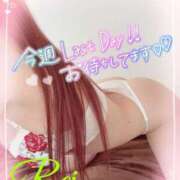 ヒメ日記 2024/12/22 08:56 投稿 れい EXE【都城本店】